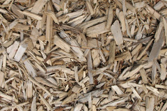 biomass boilers Debdale